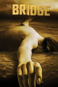 Cover The Bridge - America, Poster