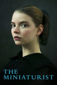 The Miniaturist - Die Magie der kleinen Dinge Cover, Poster, Blu-ray,  Bild