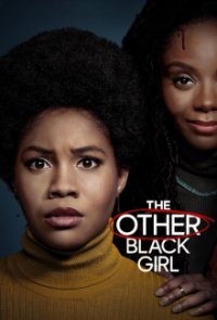 The Other Black Girl Cover, Poster, Blu-ray,  Bild