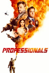 Cover The Professionals – Gefahr ist ihr Geschäft, Poster, HD