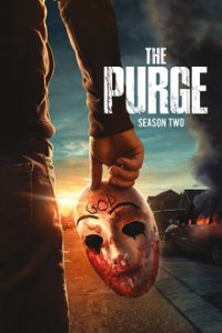 The Purge Cover, Poster, Blu-ray,  Bild