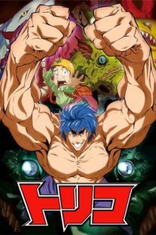 Cover Toriko, Toriko