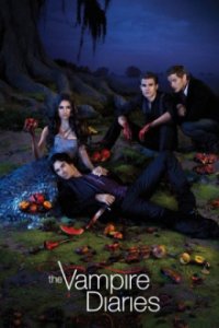 Vampire Diaries Cover, Online, Poster