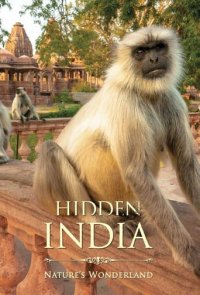 Verborgenes Indien Cover, Stream, TV-Serie Verborgenes Indien