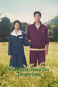 When Life Gives You Tangerines Cover, Poster, Blu-ray,  Bild