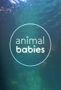 Wilde Tierbabys Cover, Stream, TV-Serie Wilde Tierbabys