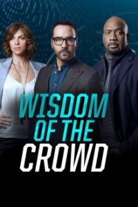 Wisdom of the Crowd Cover, Poster, Blu-ray,  Bild