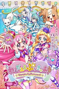 Cover Wonderful Precure! , Poster Wonderful Precure! 