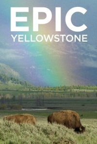 Yellowstone – Park der Extreme Cover, Poster, Blu-ray,  Bild