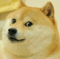 Profilbild Watch_Doge, Avatar